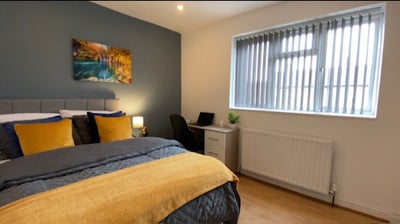 Lovely Double Room - Single Working Professional Main Photo