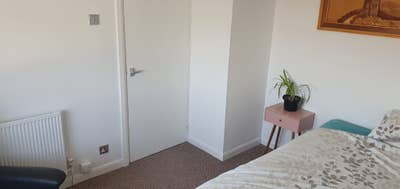 Double Room available in lovely quiet area. Main Photo