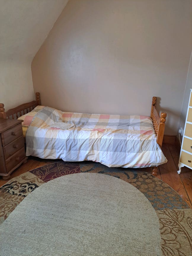 One large single/double furnished room  Main Photo