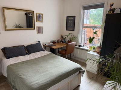 Double room in a wholesome flat with garden  Main Photo
