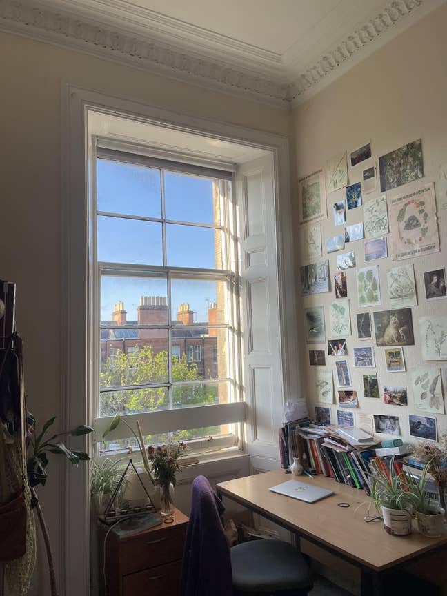 Double room in friendly Marchmont flat! Main Photo