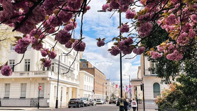 ✨ Bright Double Room Available in Belgravia✨ Main Photo