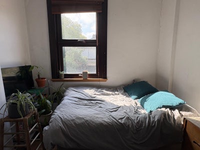Sunny Room in Clapton Flat Main Photo