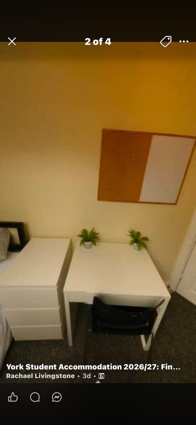 Looking for a replacement tenant, YSJ student Main Photo