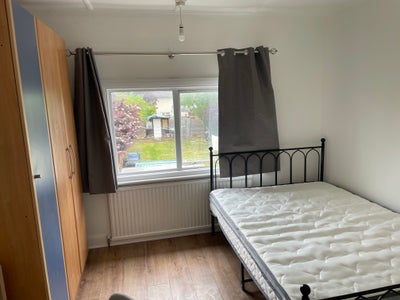 Double room to rent on the Westering Main Photo