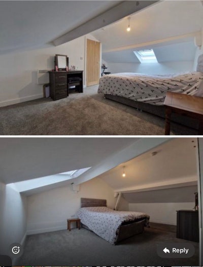 Looking for a female flatmate  Main Photo
