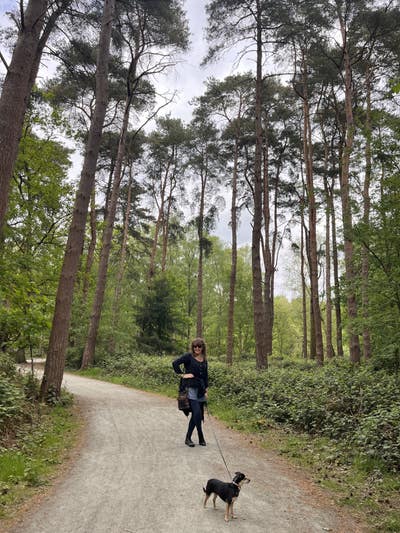I'm looking for an annexe or large room with ... Main Photo