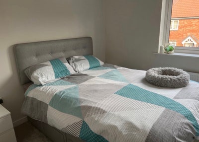Room in Havant  Main Photo