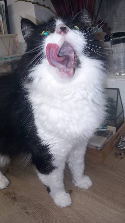 25 year old Female seeks a double room Main Photo