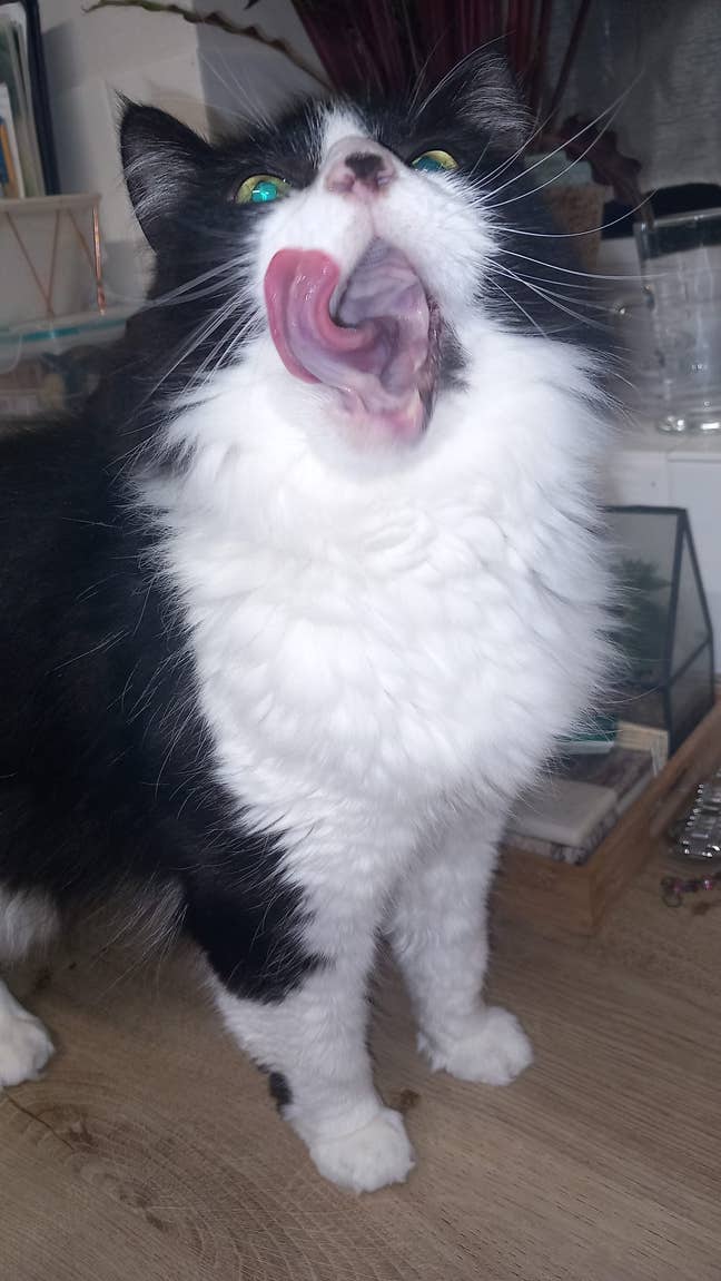 25 year old Female seeks a double room Main Photo
