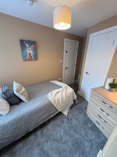 Modern En-suites, fully furnished Rooms Available. Main Photo