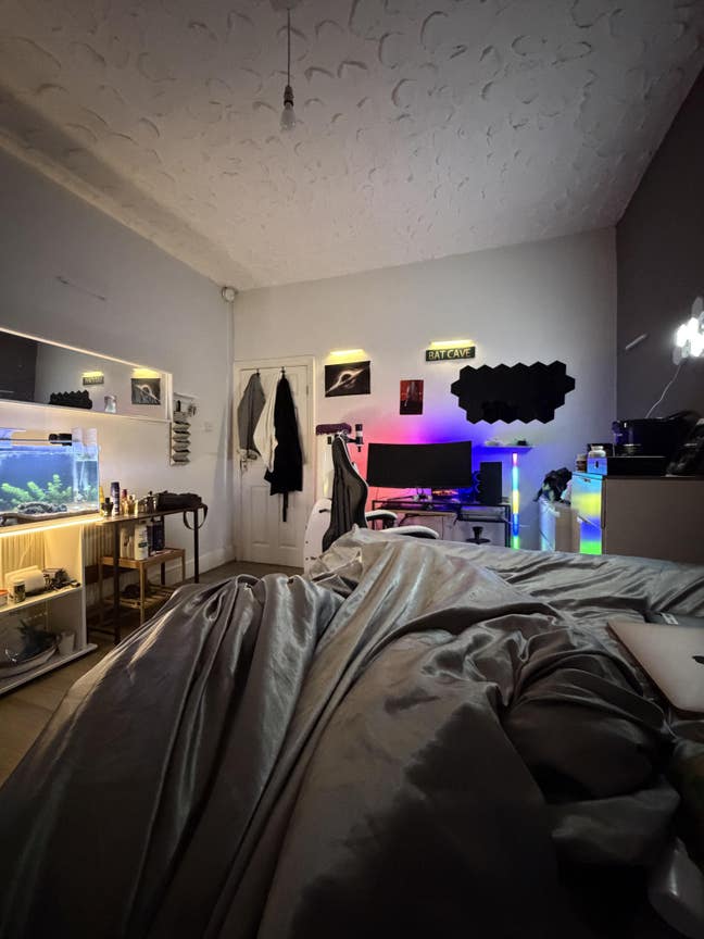 Looking for room to rent. Student/NHS professional Main Photo