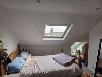 Lovely house with great connections shepherds bush Main Photo