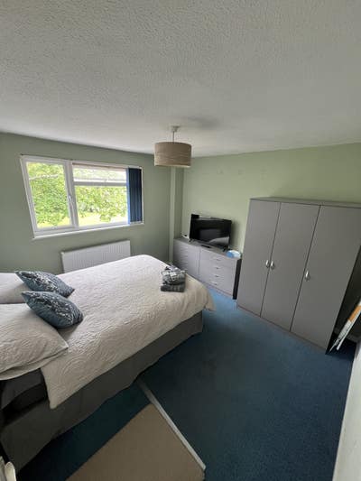 Room Available in a Relaxed, Friendly Home Main Photo