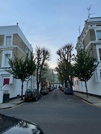 Room available in a 2-bedroom Chelsea Flat 😊 Main Photo