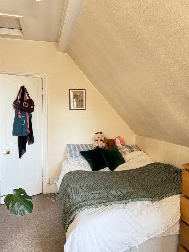 Looking for a new housemate in Henleaze 🪴✨ Main Photo