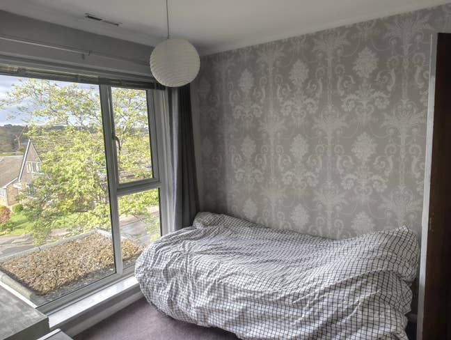 Furnished single room available Main Photo