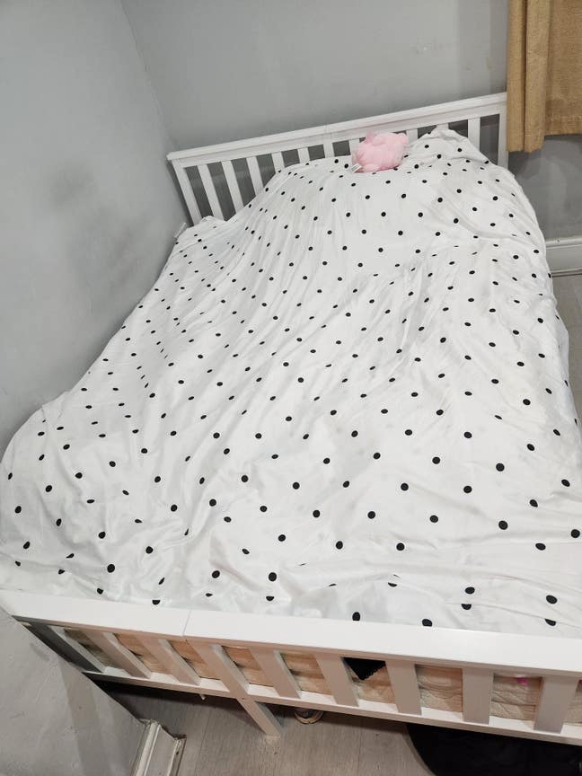 Double room near heath hospital & cardiff uni Main Photo