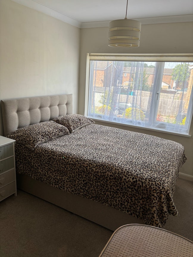 Double room in Shared House for prof. Female  Main Photo