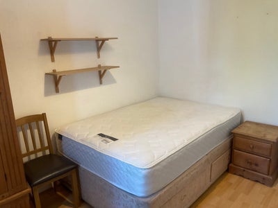 Single Person for Single Room Main Photo