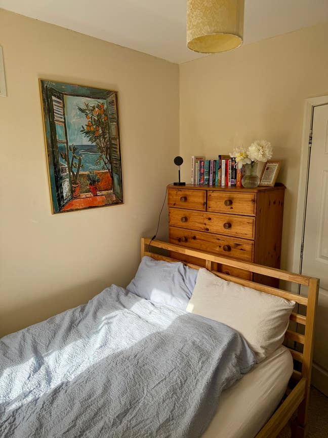 Two professionals seeking housemate for July Main Photo