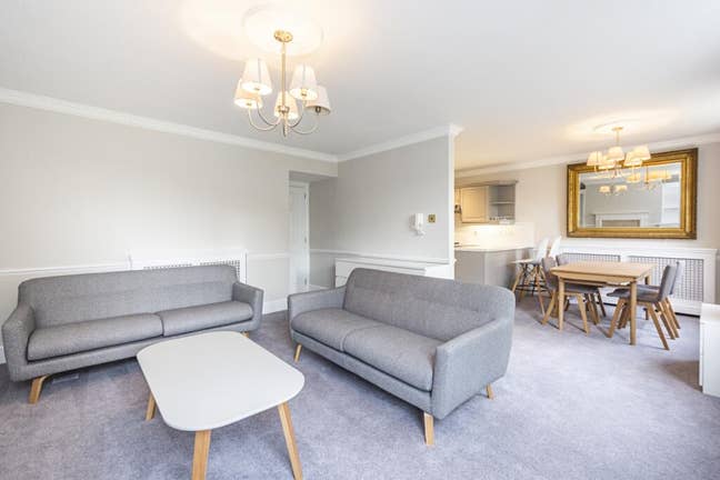Lovely double room in central Pimlico w/ garden Main Photo