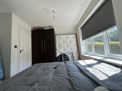 Looking for a Room in a Friendly Home . Tidy Main Photo