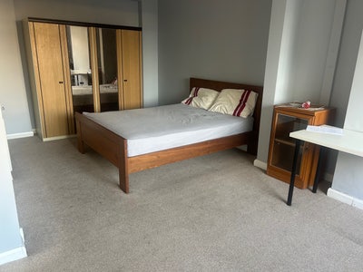 Very Large Bedroom & Private Living Room Main Photo