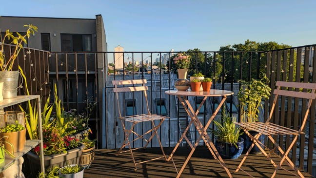 Room in gorg Dalston flat! Main Photo