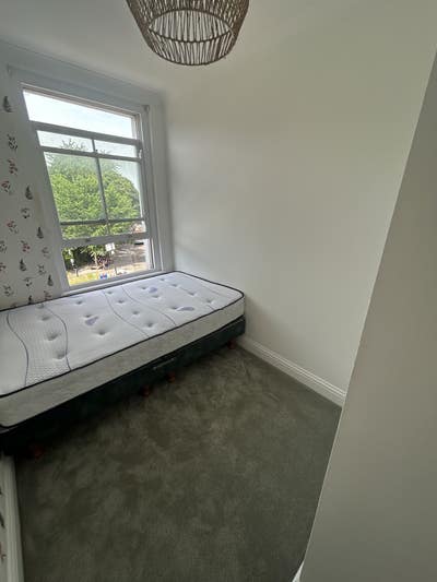 Single Room to Rent in Vegan 2Bed Hackney Rd Flat! Main Photo
