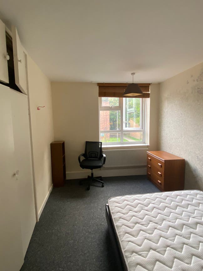 🌿 NIce double room in 3Bed Flat -AV. NOW!!! Main Photo
