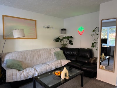 Bright & Spacious Double Room Available in Bermond Main Photo