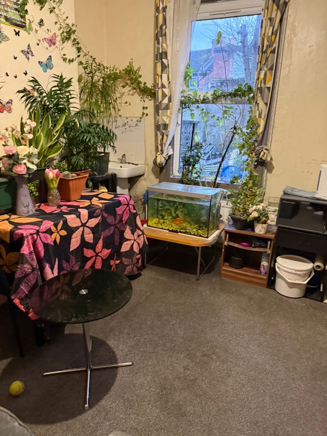 Double room  Main Photo
