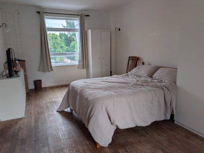 Amazing double room in Putney  Main Photo