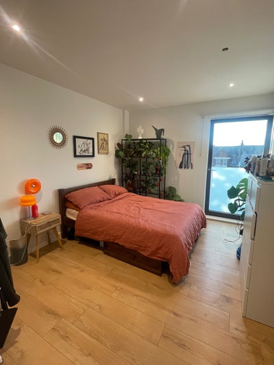 Double room in modern clean Brixton/Clapham flat Main Photo