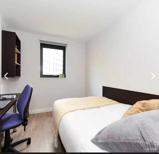 🏡 Room Available at St David’s Student Accom Main Photo