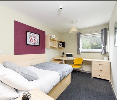 Modern Student Roost Ensuite Room available  Main Photo