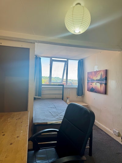 1 room available for a student or a professional  Main Photo