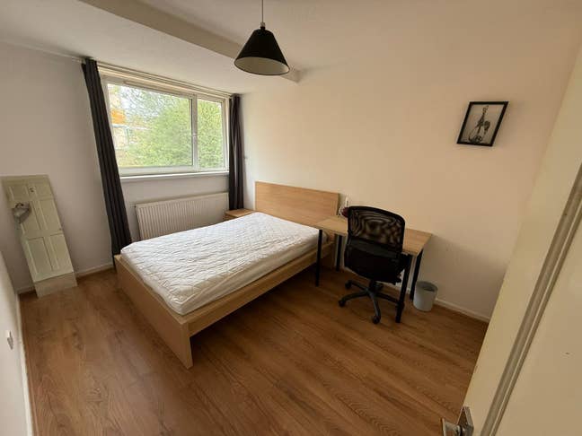 Spacious Double Room in a Friendly Home! Zone 2 Main Photo