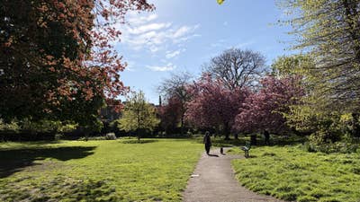 PhD Student Female seeks a ensuite room Main Photo