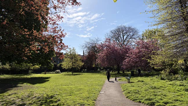 PhD Student Female seeks a ensuite room Main Photo