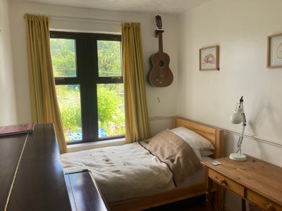 Bright single room in Penicuik  Main Photo