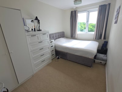 Double room in friendly flatshare Main Photo