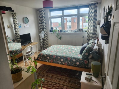 Two rooms available near Richmond Park  Main Photo