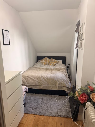 Room with garden next to Beautiful Battersea Park Main Photo