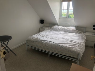 Lovely clean double in shared flat Main Photo