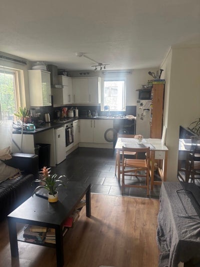 Clapham Junction Female Flat Main Photo