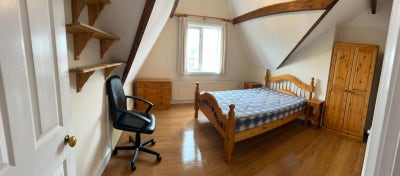 Professional person required for sociable house Main Photo
