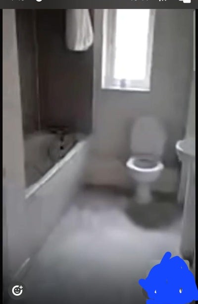 A room to let Main Photo