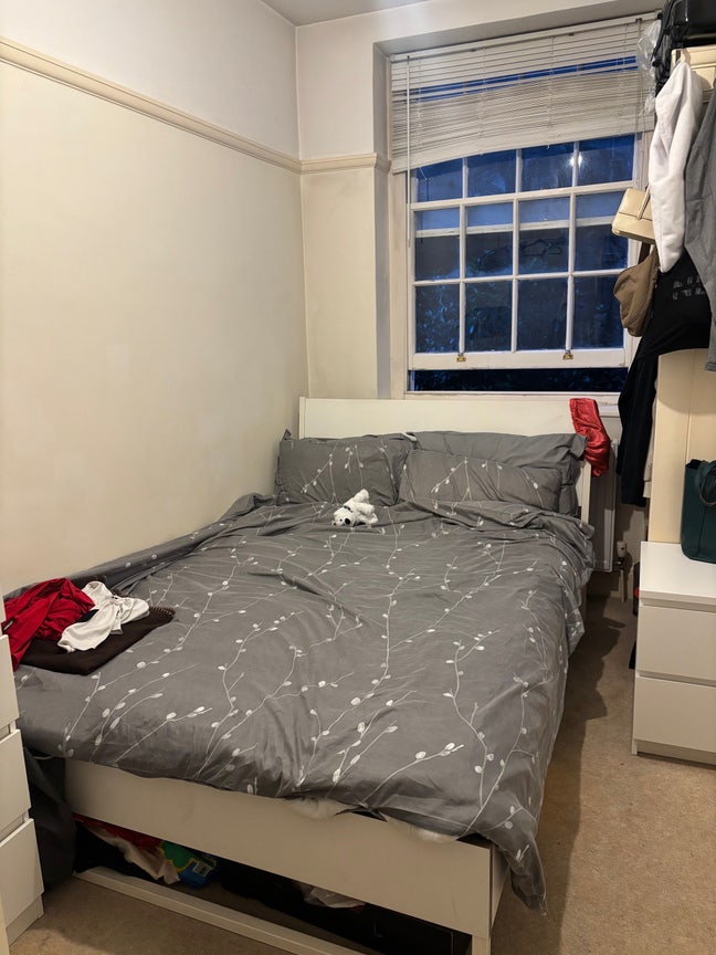 Cosy double room in willesden green flat!  Main Photo